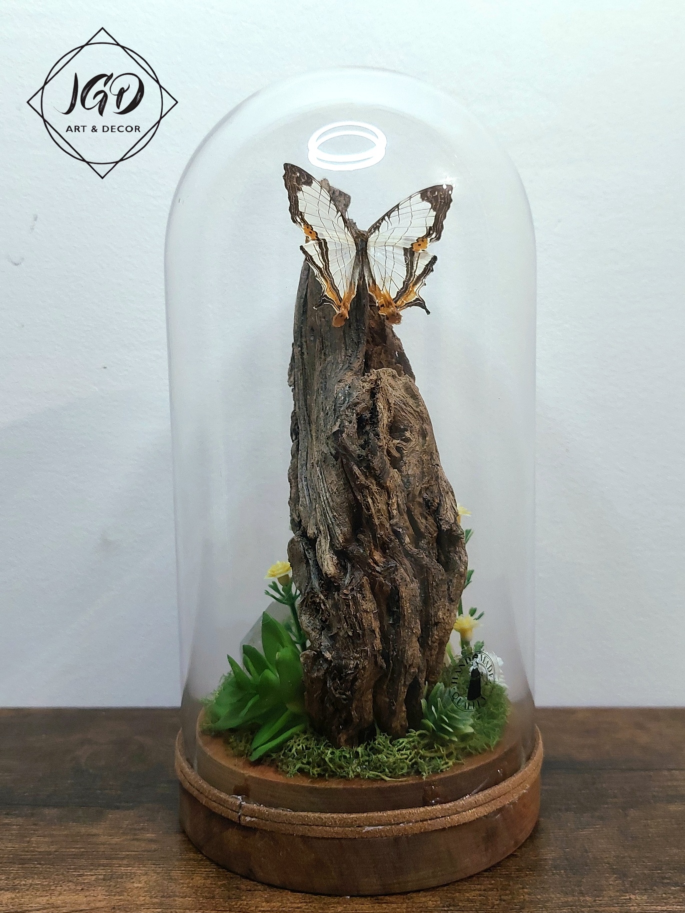 Polish_20250321_152023618